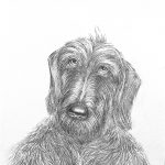 Bildnis Boris, Bleistift, 2026