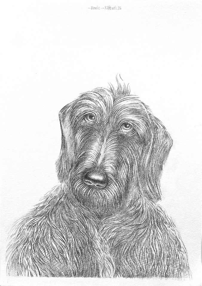 Bildnis Boris, Bleistift, 2026